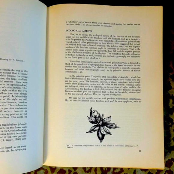 Orchid Flowers: Their Pollination and Evolution Hardbound Reference Book - Picture 2 of 12
